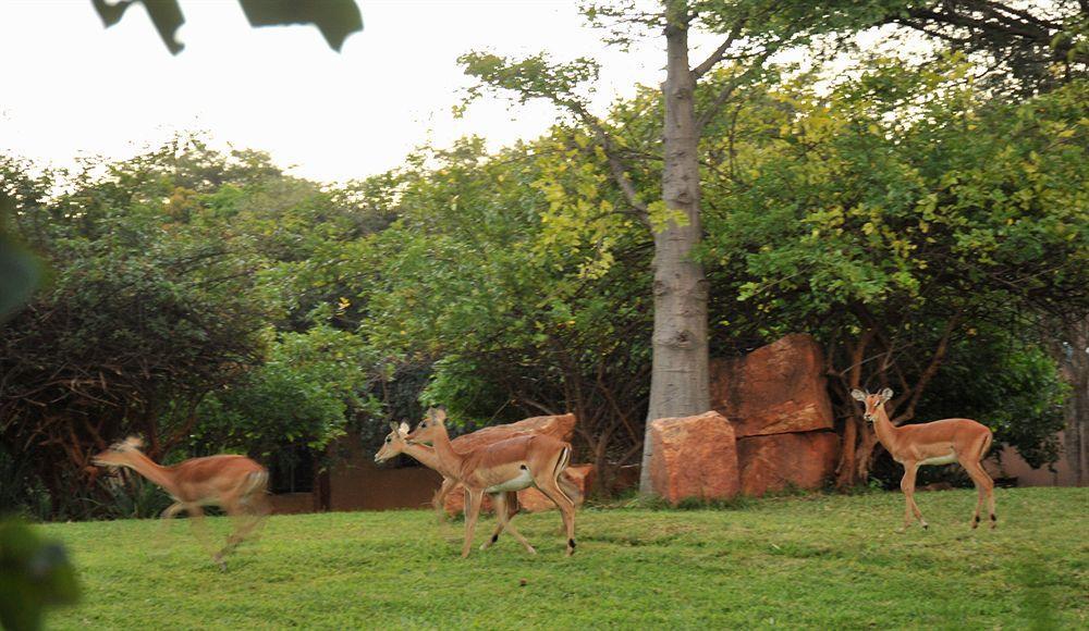 M'kango Golfview Hotel Lusaka Zewnętrze zdjęcie