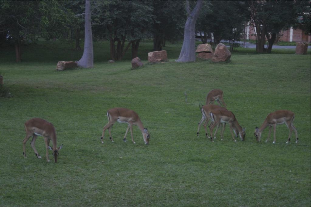 M'kango Golfview Hotel Lusaka Zewnętrze zdjęcie